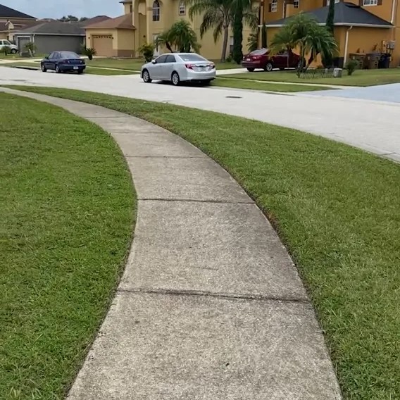 Freshly edged lawn