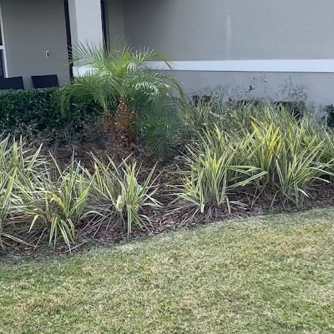Healthy plant beds