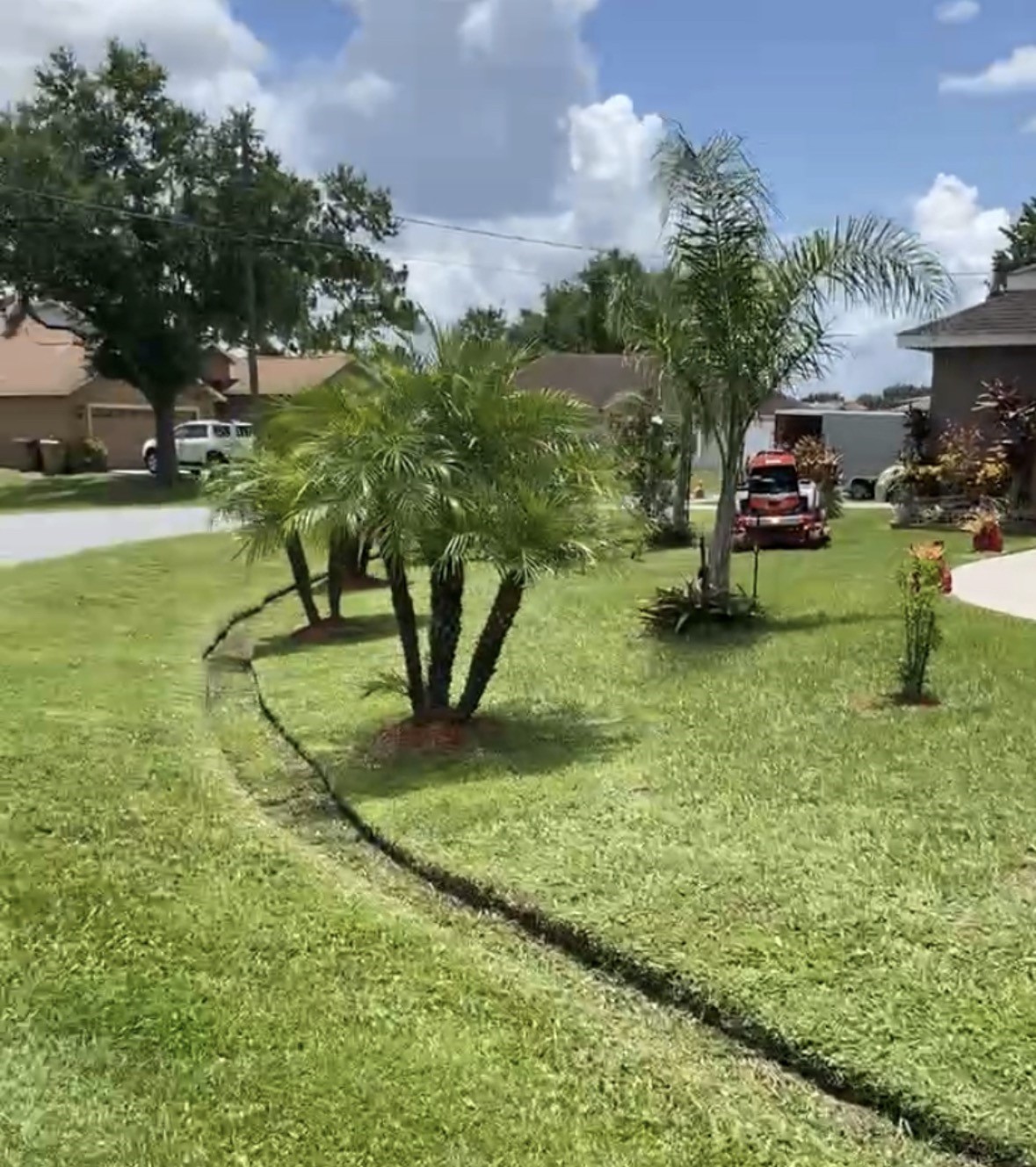 Beautiful lawn