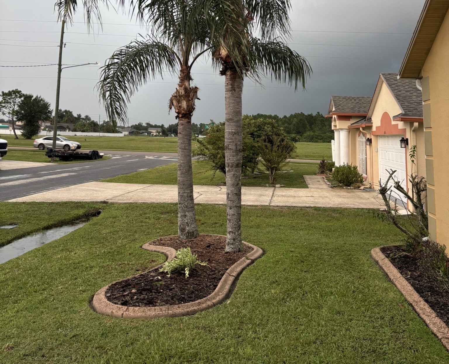 Professional lawn care