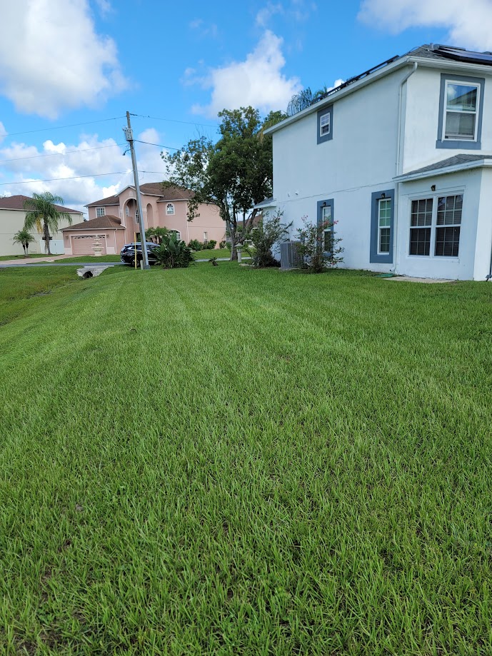 Landscaped yard